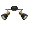 Спот Arte Lamp A1677PL-2GO
