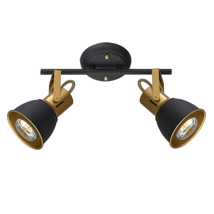 Спот Arte Lamp A1677PL-2GO